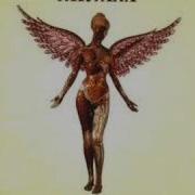 Nirvana Heart Shaped Box