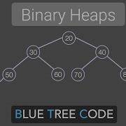 Binary Heap Insert Sift Up Delete Sift Down Heapify BuildHeap