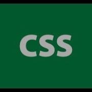 6 CSS Checked Enabled Disabled Empty