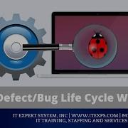 Defect Bug Workflow Defect Management ISTQB Software Quality Assurance Testing IT Expert