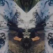 MUSIC PSYCHEDELIC LIMBO HARDBAS