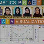 Informatics Practices Data Visualization IP Class 12