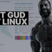 How To Git Gud At Linux