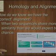Unit 1 4 3 Multiple Sequence Alignment