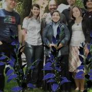 The Clean Energy Project L System Test