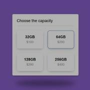 How To Make Custom Price Radio Buttons With HTML And CSS Only