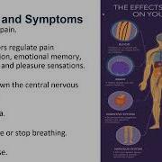 Understanding Fentanyl