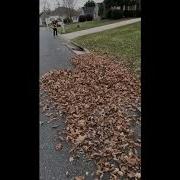 Leaf Explosion Slo Mo HD 720p