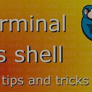 Terminal Vs Shell Vs Console Why This Is Important For Linux Forensics