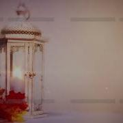Motionbolt Com Fall Lantern Video Background