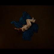 넬 NELL Crack The Code Official MV