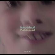 Sea Swallow Me Cocteau Twins Harold Budd