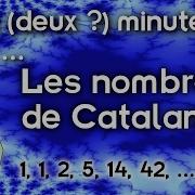 Two Two Minutes For Catalan Numbers