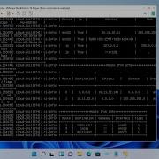 VMware How To Automatically Run Virtual Machines On Windows