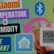 How I Connected Xiaomi Temperature Humidity Bluetooth Sensor To Home Assistant Mijia LYWSD03MMC