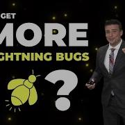 How Can You Get More Lightning Bugs In Your Backyard