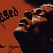 RE MIND KGZOO CHASED