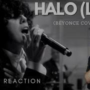 LP Halo Beyonce Cover A Blind Reaction