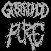 Gastropod Tracks From The Split W Pure 2022
