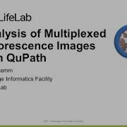 Introduction To QuPath For Multiplexed Fluorescence Microscopy