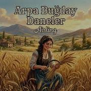 Arpa Buğday Daneler Ethnic Jazz Cover