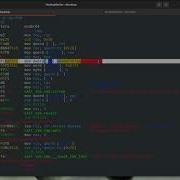 Radare2 Series 0x01 Strings Cross References Simple Assembly Analysis