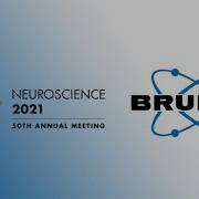 Society For Neuroscience 2021 Introduction Bruker Fluorescence Microscopy