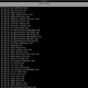 Penetration Testing Nmap Scripts
