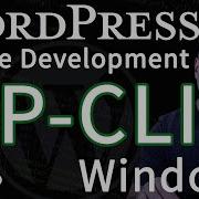 Learn WP CLI Windows WordPress DevWP Hybrid Theme