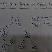 Depth And Hight Of Binary Tree Data Structure