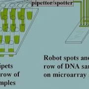 DNA Technologies DNA Microarrays