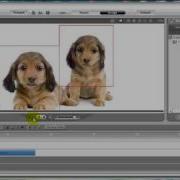 CrazyTalk6 Tutorial How To Make An Animated Dialogue
