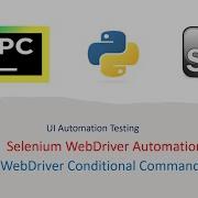 Python With Selenium Part 7 WebDriver Conditional Commands