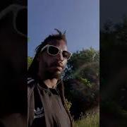 Terra Slim Don T Jump The Gun Nature Video