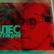 ХЕСУС СМОТРИТ Ян Топлес поддержал войну и получил 260 000 Что дальше