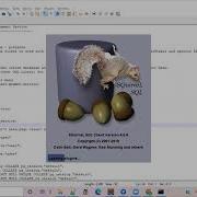 Fsp9 PostgreSQL DB Setup