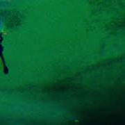 A Playlist To Heal Your Thalassophobia A Liminal Thalassophobia Playlist