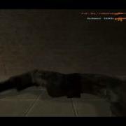 Epic Fail Double Kill Awp