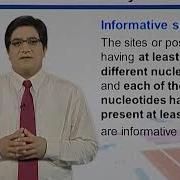 Topic171 MaximumParsimony