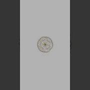 Python Turtle Basic Design 17 SColorful Polygon Shorts Shortvideo Trending Youtubeshorts Viral