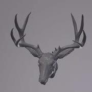 How To Use The 3D File Viewer