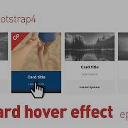 Card Hover Effect Ep05 Bootstrap4