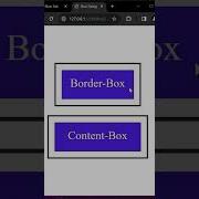Box Sizing In CSS HTML CSS Tips 15 Csstipoftheday Coding Html Css3 Css Htmlcss