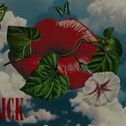 The Happy Fits Shake Me Official Audio