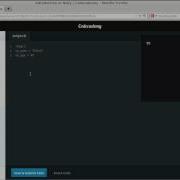 Codecademy Introduction To Ruby 13 16 Variables Data Types