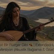 Bosver Hayat Bir Rüzgar Gibi Extended Uzun Versiyon Akustik Bağlama Gitar