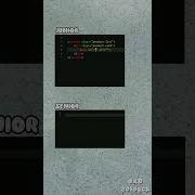 Junior Developer Vs Senior Developer Webdevelopment Coding