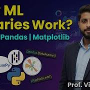 How Machine Learning Libraries Works Numpy Pandas Matplotlib In Python Hindi Vikas Singh