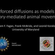 Reinforced Diffusions As Models Of Memory Mediated Animal Movement