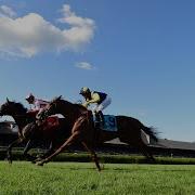 Talking Horses August 1 2021